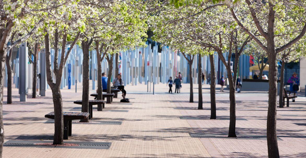 Image of town centre at Sydney Olympic Park